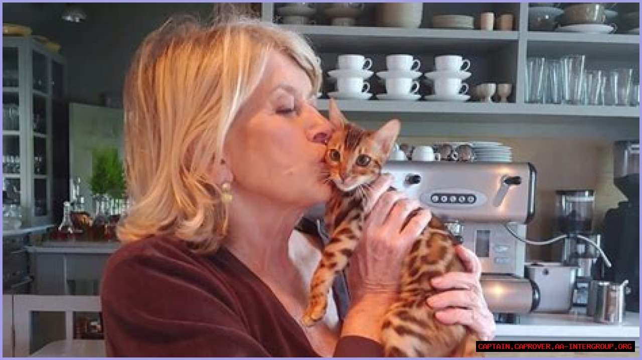 Martha Stewart's Feline Friends: A Deep Dive Into Her Affection For Cats
