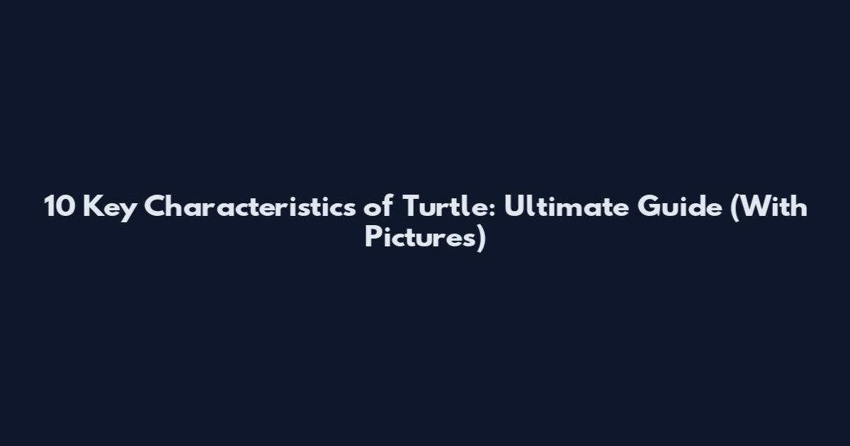 10 Key Characteristics of Turtle: Ultimate Guide (With Pictures)