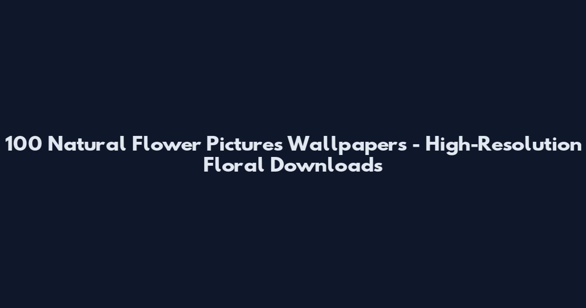 100 Natural Flower Pictures Wallpapers - High-Resolution Floral Downloads
