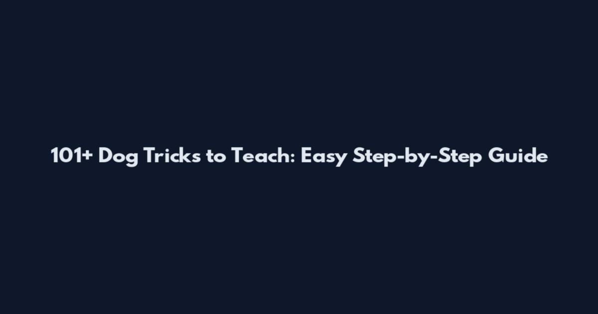 101+ Dog Tricks to Teach: Easy Step-by-Step Guide
