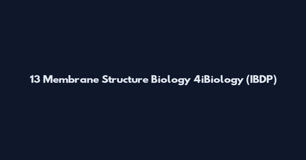 13 Membrane Structure Biology 4iBiology (IBDP)