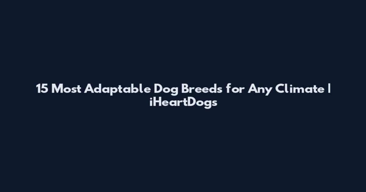 15 Most Adaptable Dog Breeds for Any Climate | iHeartDogs