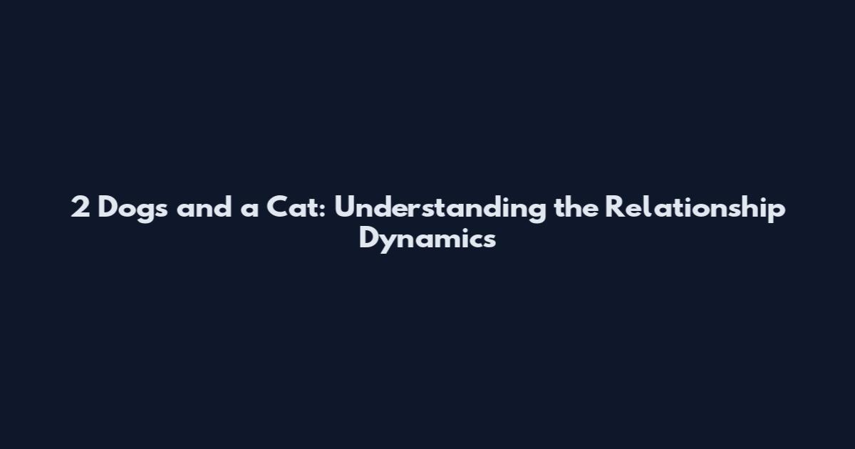 2 Dogs and a Cat: Understanding the Relationship Dynamics