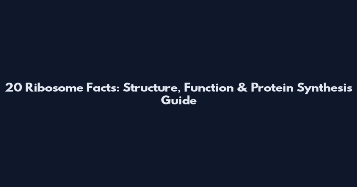 20 Ribosome Facts: Structure, Function & Protein Synthesis Guide