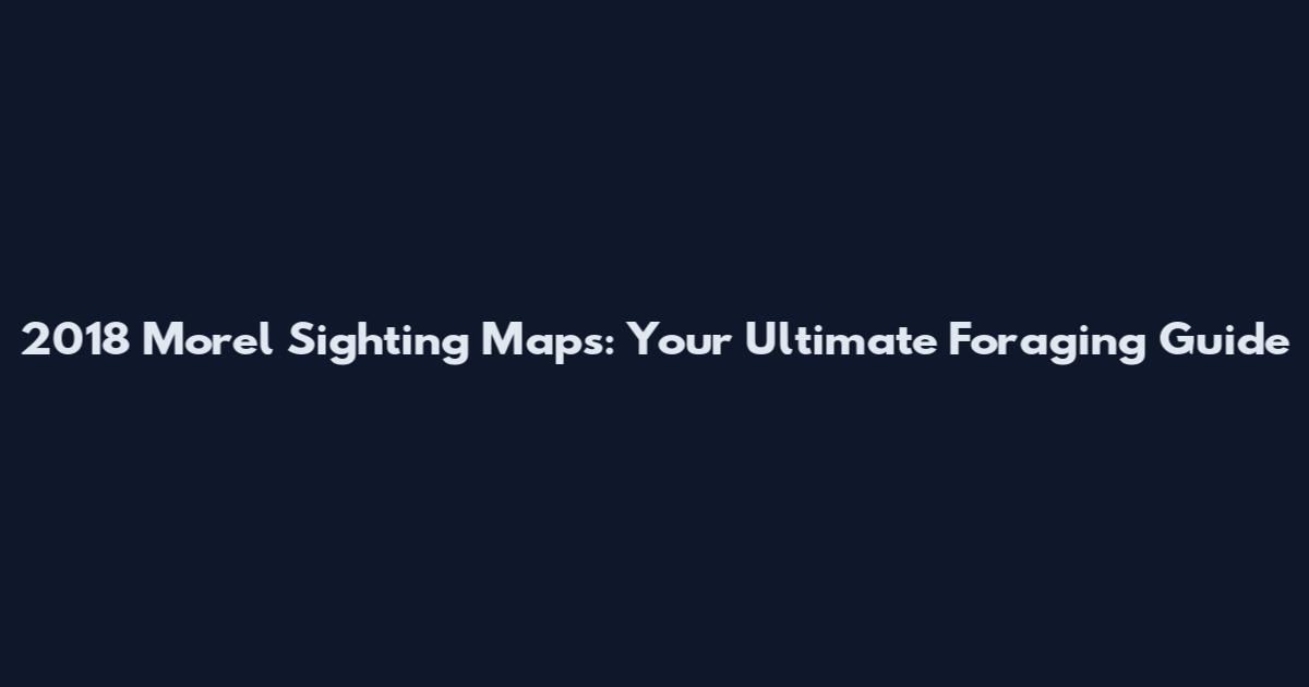 2018 Morel Sighting Maps: Your Ultimate Foraging Guide