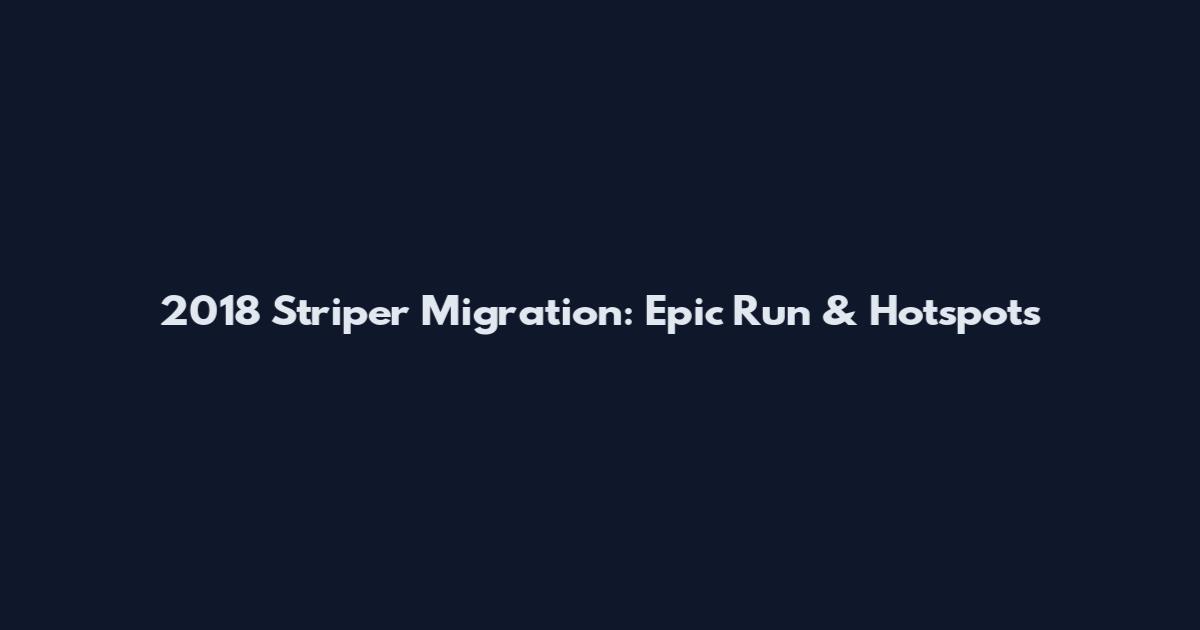 2018 Striper Migration: Epic Run & Hotspots