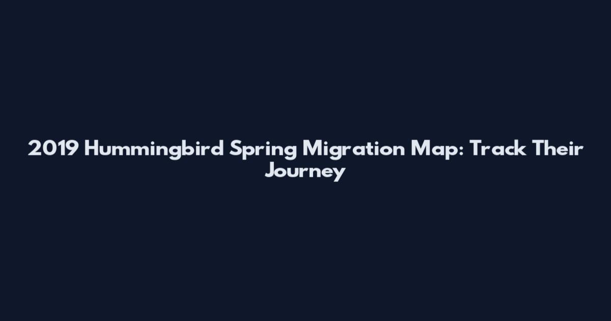 2019 Hummingbird Spring Migration Map: Track Their Journey