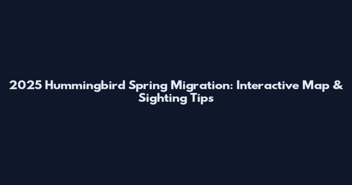 2025 Hummingbird Spring Migration: Interactive Map & Sighting Tips