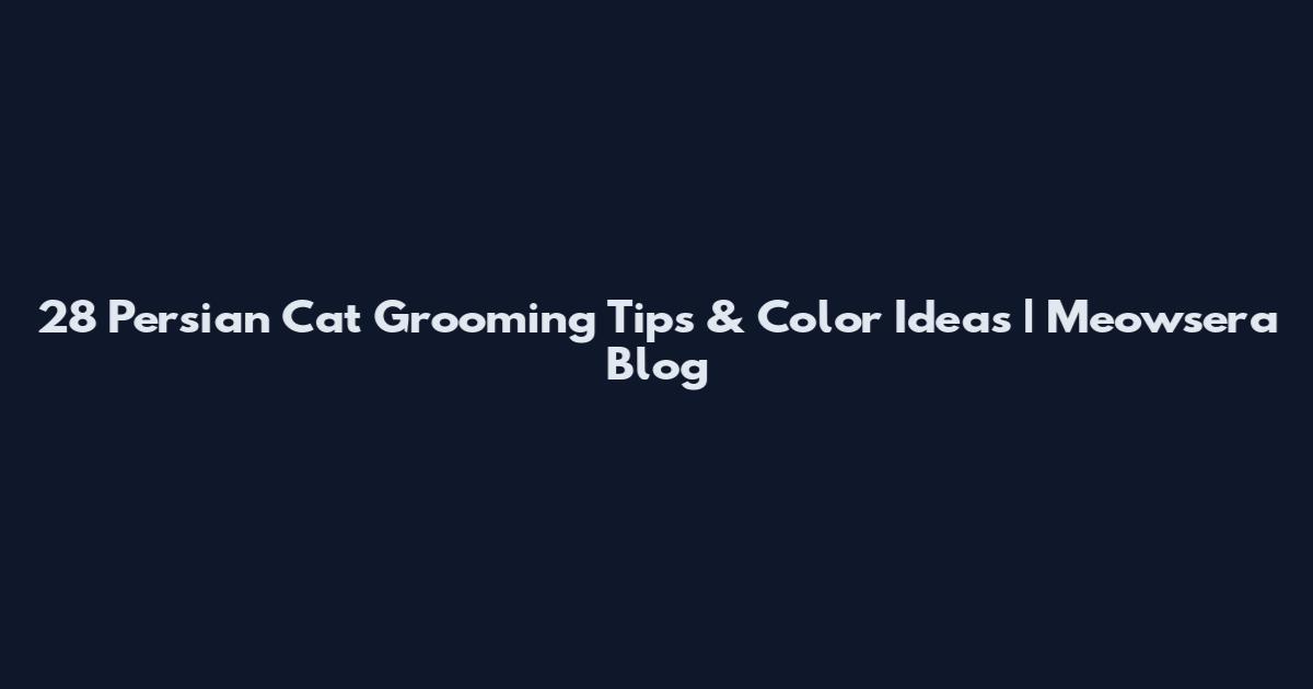 28 Persian Cat Grooming Tips & Color Ideas | Meowsera Blog