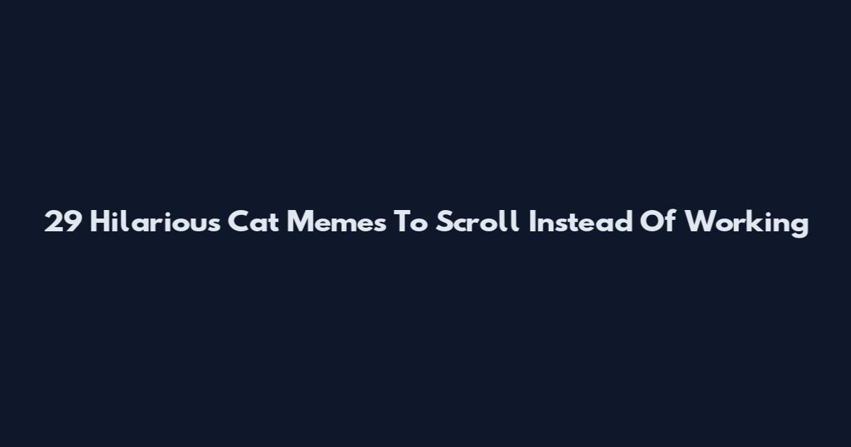 29 Hilarious Cat Memes To Scroll Instead Of Working