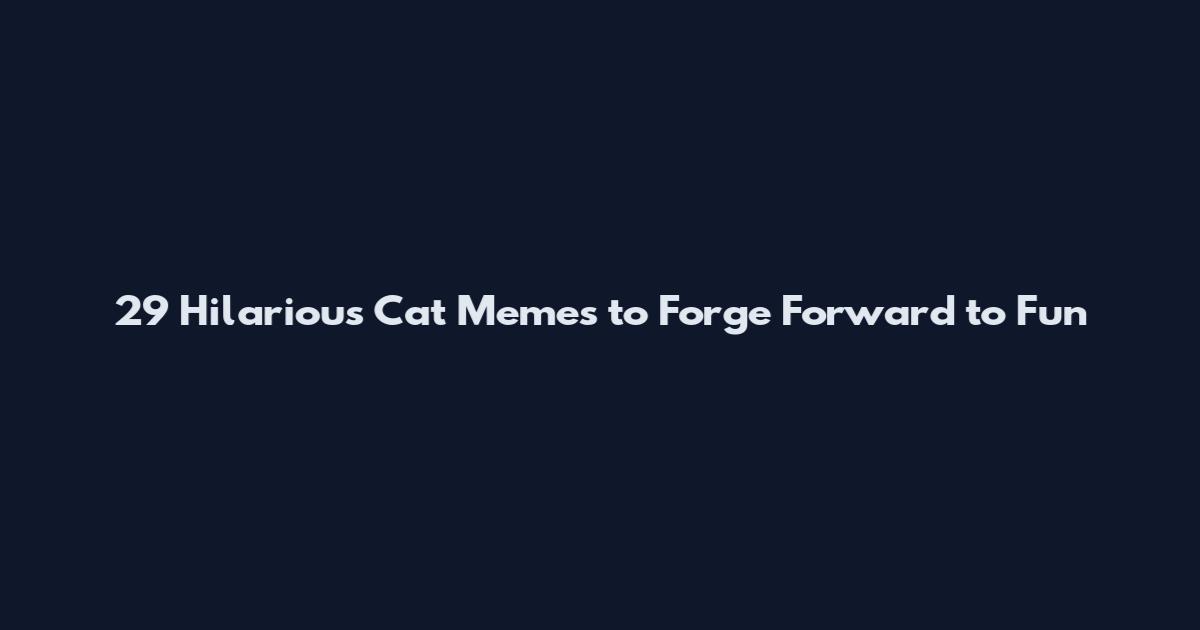 29 Hilarious Cat Memes to Forge Forward to Fun