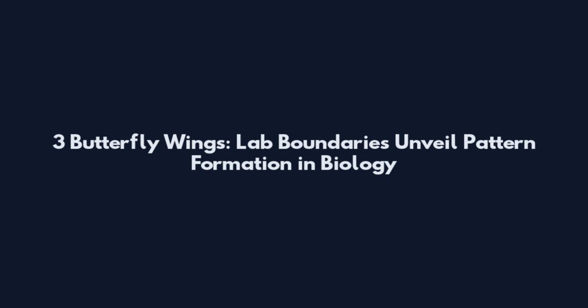 3 Butterfly Wings: Lab Boundaries Unveil Pattern Formation in Biology