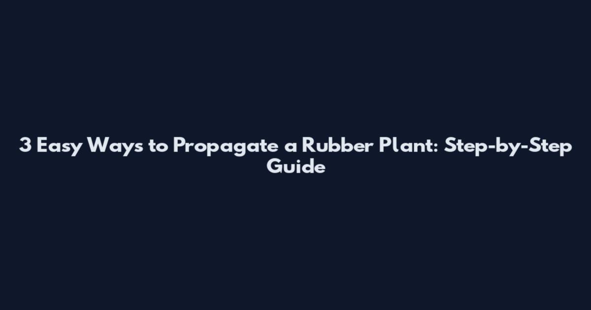 3 Easy Ways to Propagate a Rubber Plant: Step-by-Step Guide