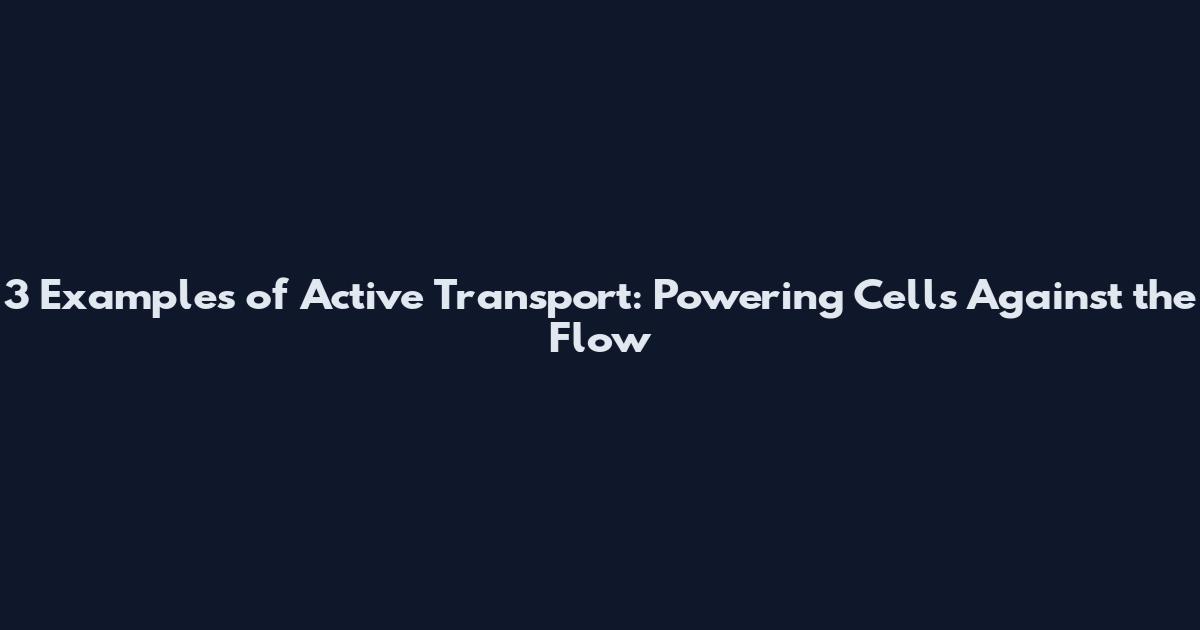 3 Examples of Active Transport: Powering Cells Against the Flow