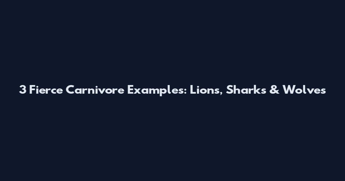 3 Fierce Carnivore Examples: Lions, Sharks & Wolves