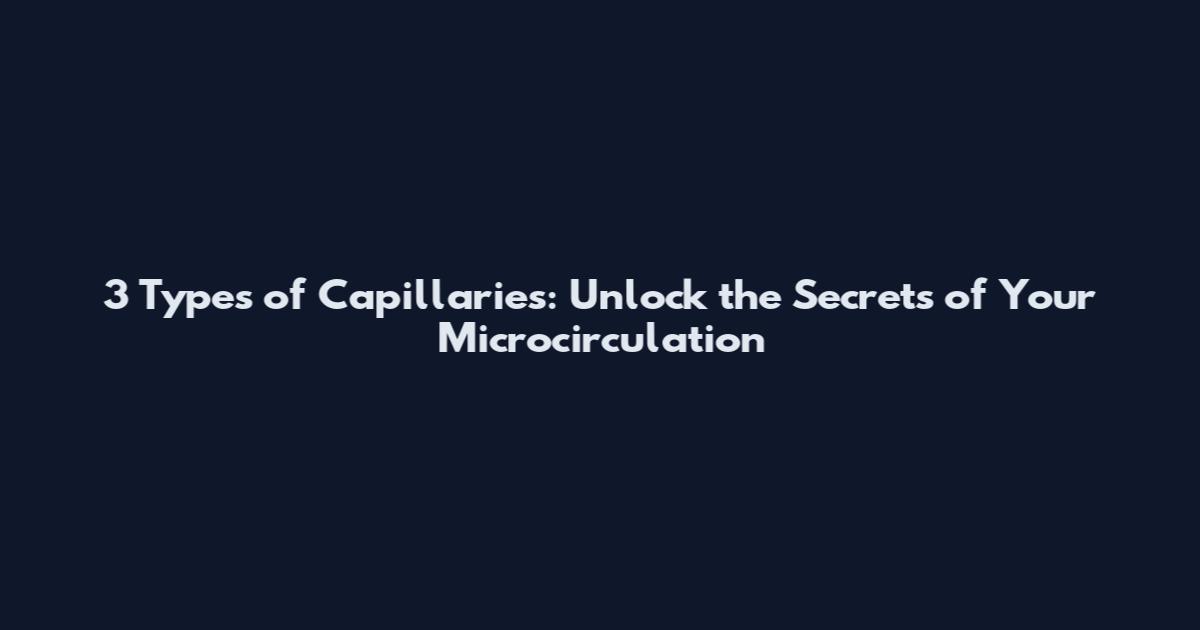 3 Types of Capillaries: Unlock the Secrets of Your Microcirculation