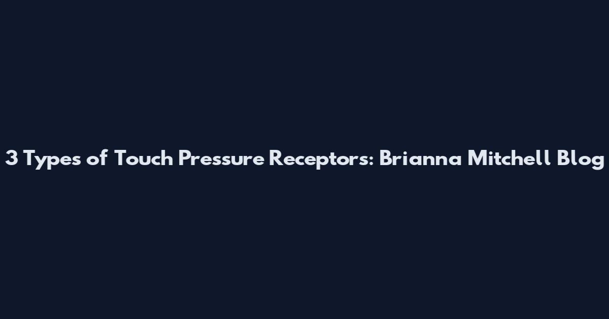 3 Types of Touch Pressure Receptors: Brianna Mitchell Blog