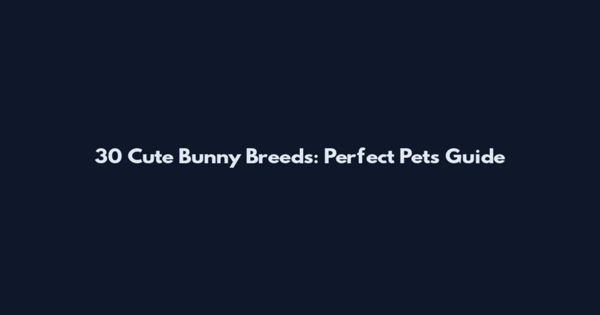 30 Cute Bunny Breeds: Perfect Pets Guide