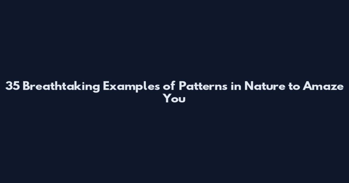 35 Breathtaking Examples of Patterns in Nature to Amaze You