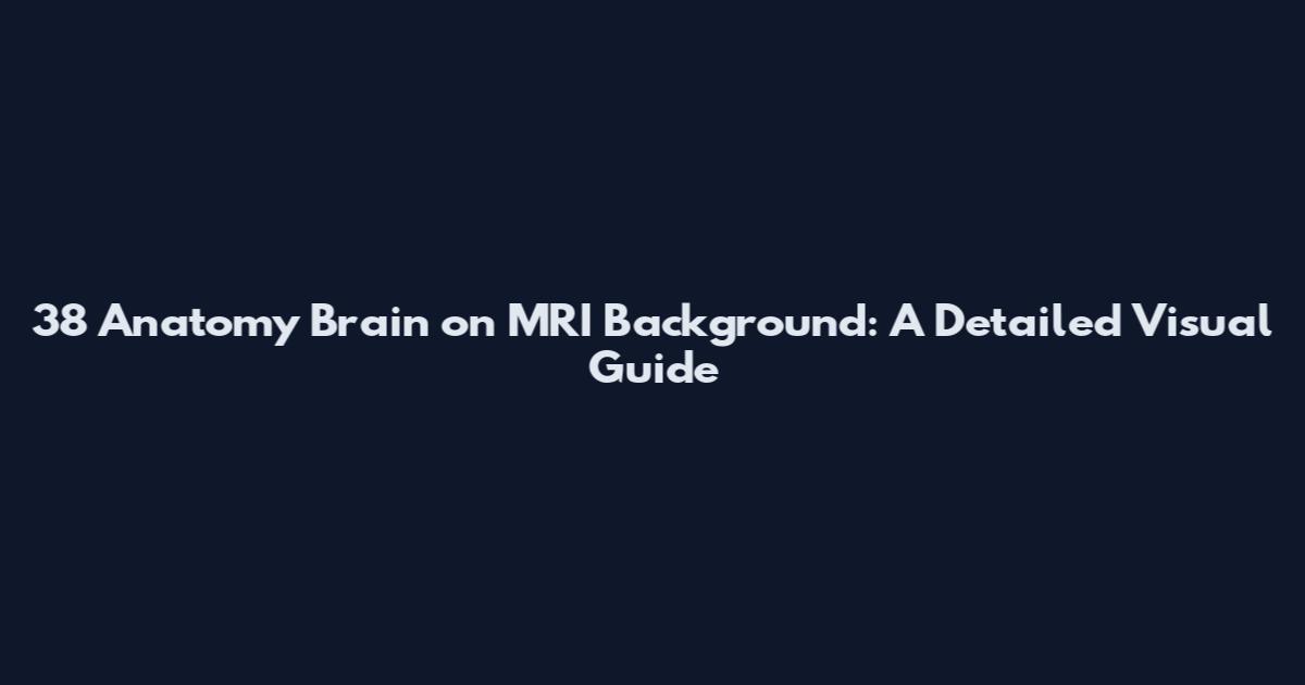 38 Anatomy Brain on MRI Background: A Detailed Visual Guide