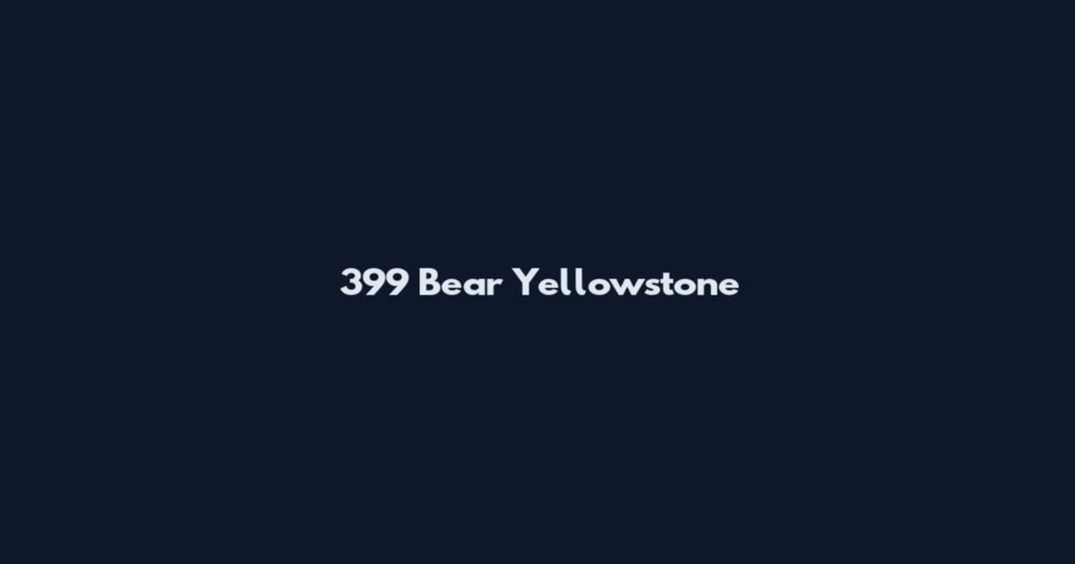 399 Bear Yellowstone