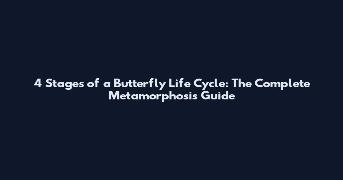 4 Stages of a Butterfly Life Cycle: The Complete Metamorphosis Guide