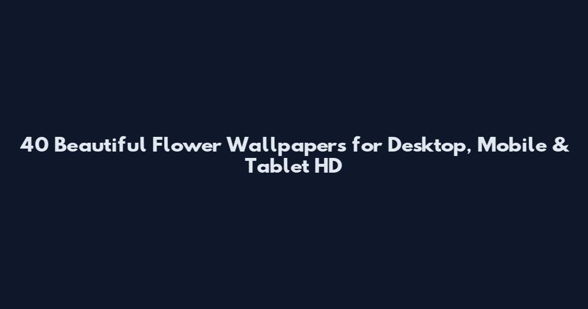 40 Beautiful Flower Wallpapers for Desktop, Mobile & Tablet HD