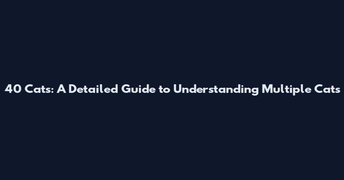 40 Cats: A Detailed Guide to Understanding Multiple Cats