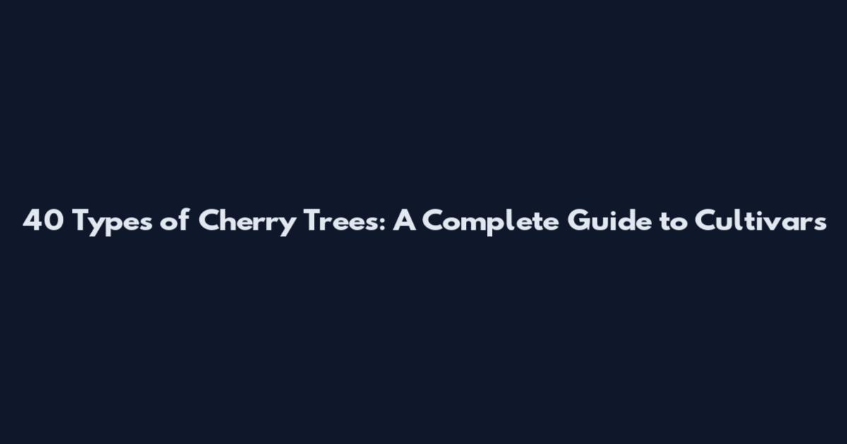 40 Types of Cherry Trees: A Complete Guide to Cultivars