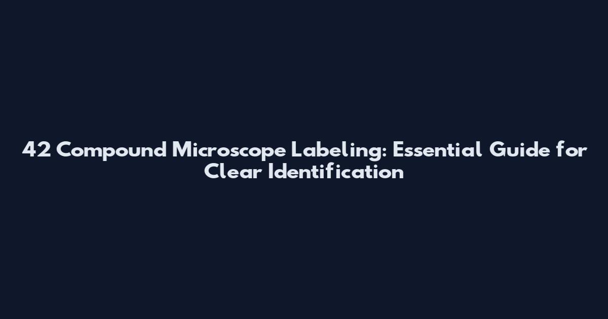 42 Compound Microscope Labeling: Essential Guide for Clear Identification