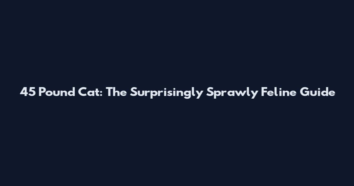 45 Pound Cat: The Surprisingly Sprawly Feline Guide