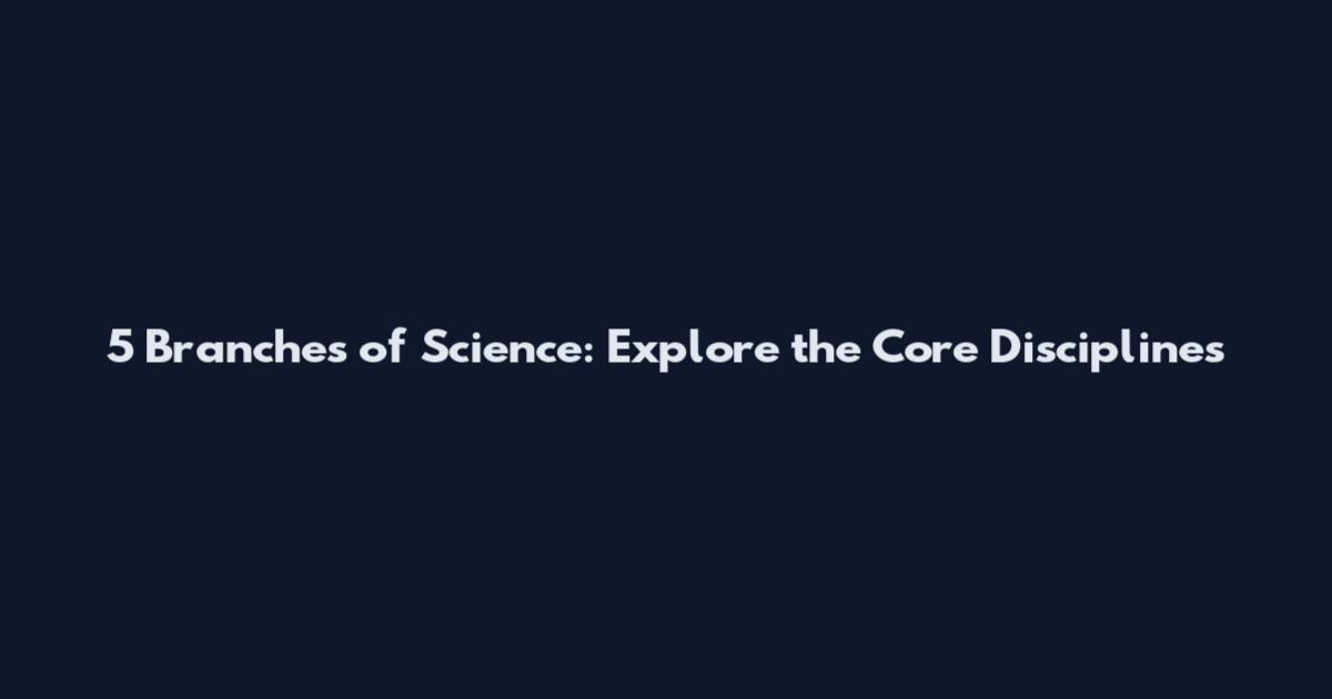 5 Branches of Science: Explore the Core Disciplines