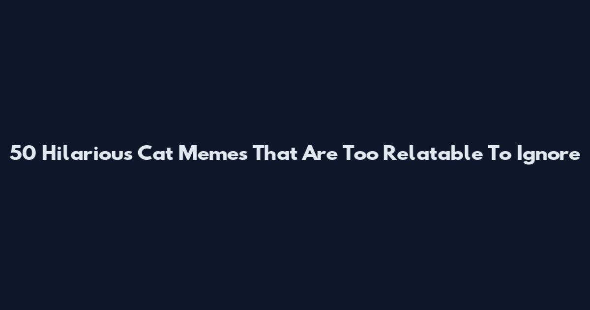 50 Hilarious Cat Memes That Are Too Relatable To Ignore