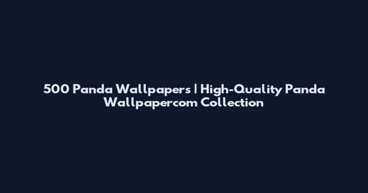 500 Panda Wallpapers | High-Quality Panda Wallpapercom Collection