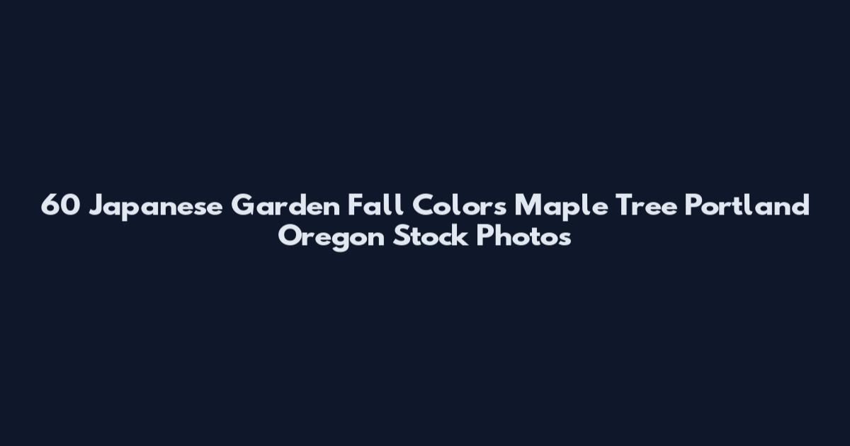 60 Japanese Garden Fall Colors Maple Tree Portland Oregon Stock Photos