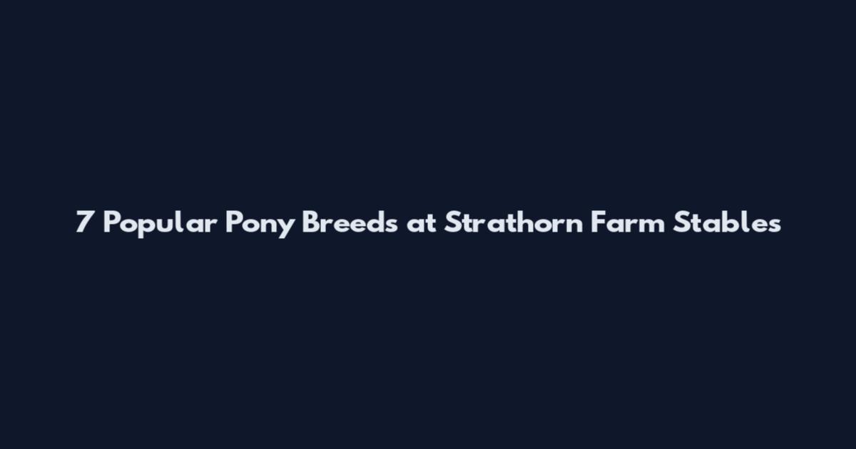 7 Popular Pony Breeds at Strathorn Farm Stables