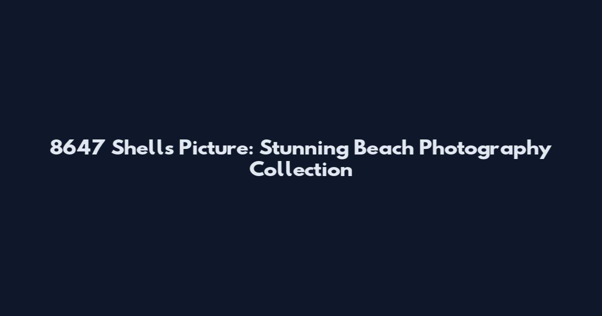 8647 Shells Picture: Stunning Beach Photography Collection