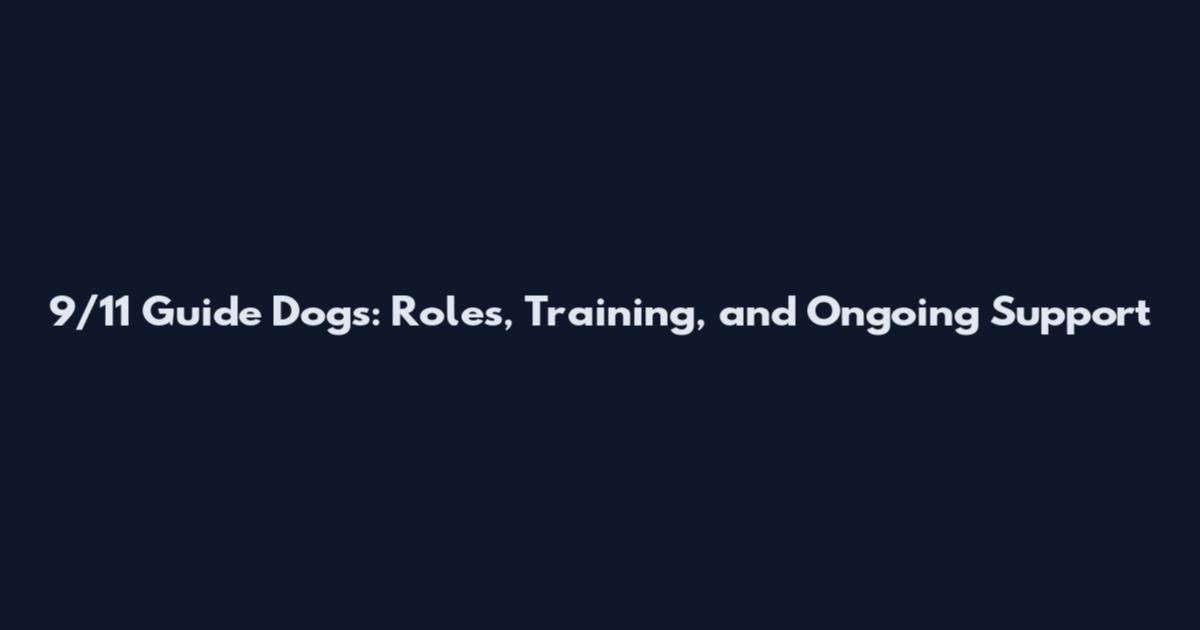 9/11 Guide Dogs: Roles, Training, and Ongoing Support
