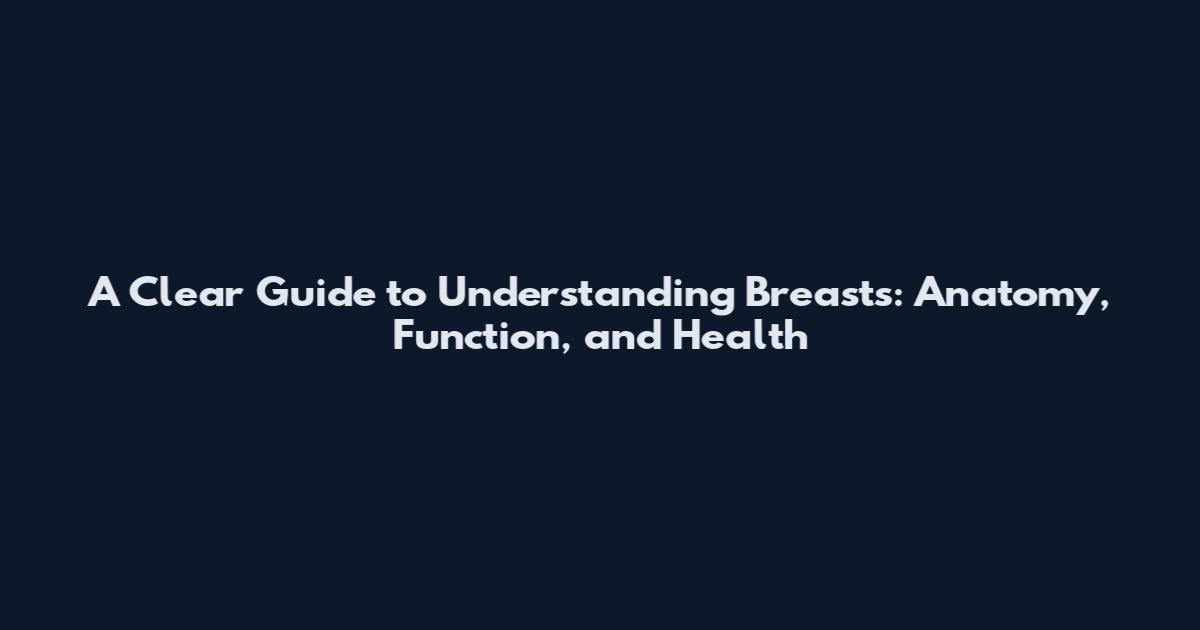 A Clear Guide to Understanding Breasts: Anatomy, Function, and Health