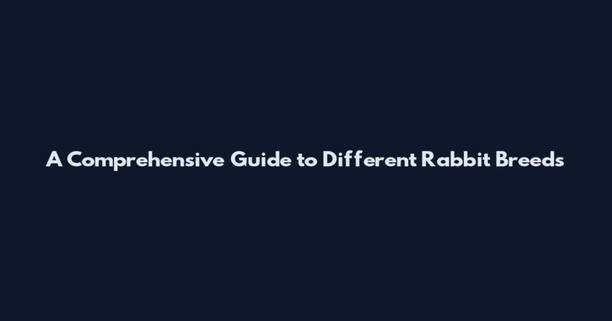 A Comprehensive Guide to Different Rabbit Breeds