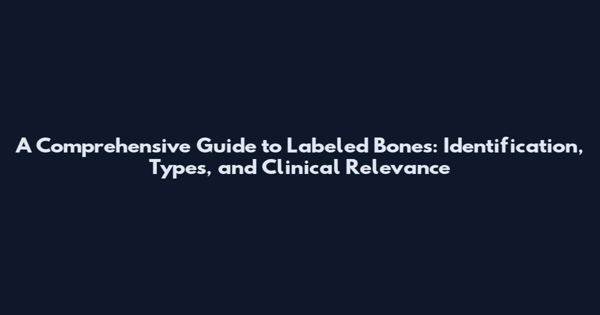 A Comprehensive Guide to Labeled Bones: Identification, Types, and Clinical Relevance