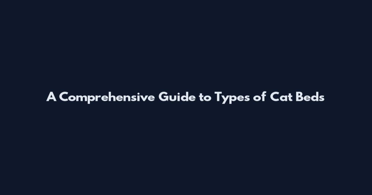 A Comprehensive Guide to Types of Cat Beds