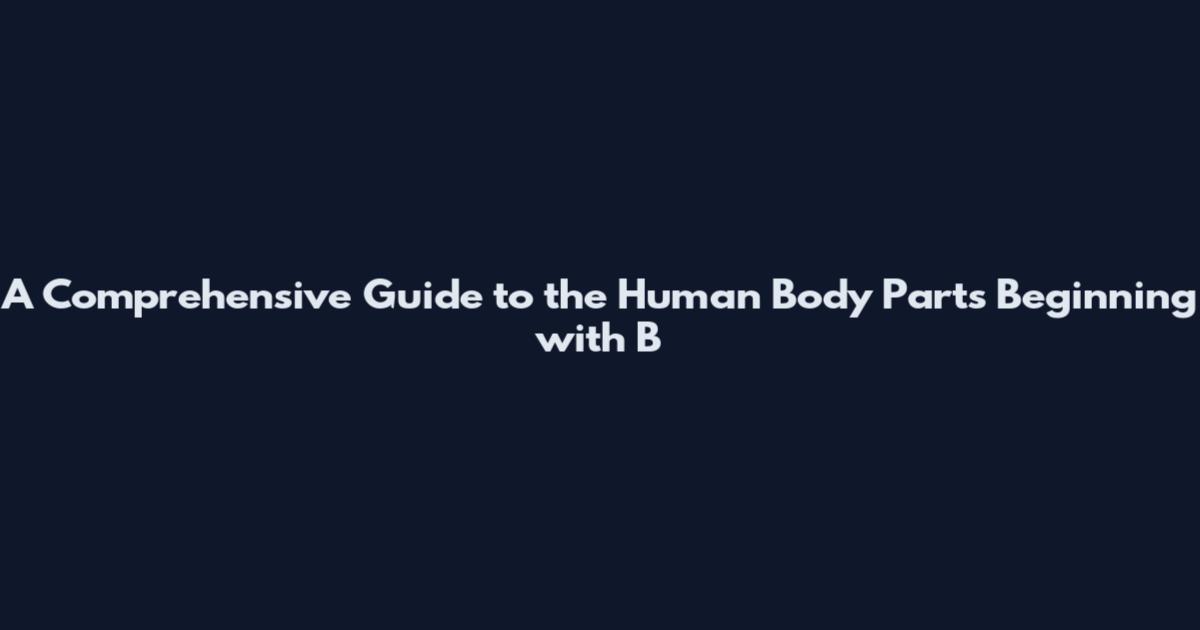 A Comprehensive Guide to the Human Body Parts Beginning with B