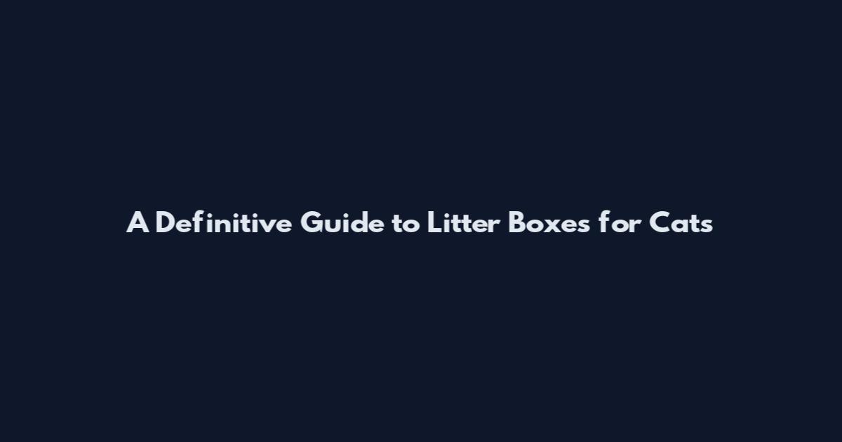 A Definitive Guide to Litter Boxes for Cats