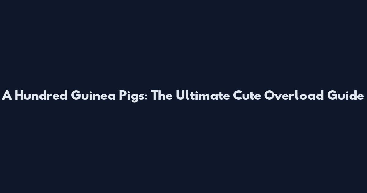 A Hundred Guinea Pigs: The Ultimate Cute Overload Guide
