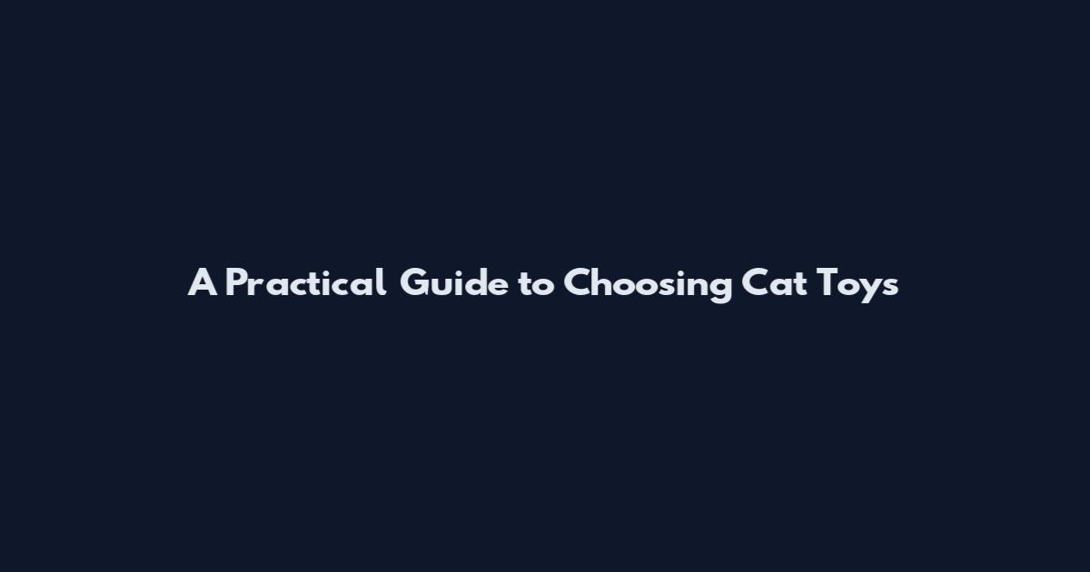 A Practical Guide to Choosing Cat Toys