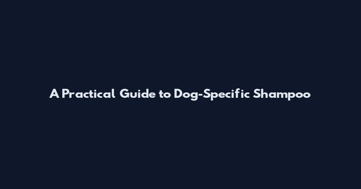 A Practical Guide to Dog-Specific Shampoo