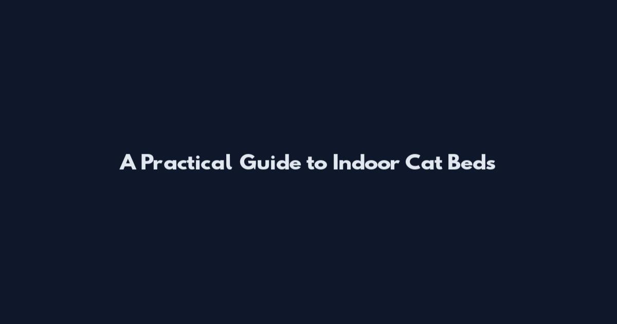 A Practical Guide to Indoor Cat Beds