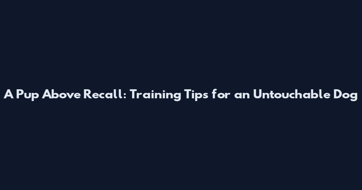 A Pup Above Recall: Training Tips for an Untouchable Dog