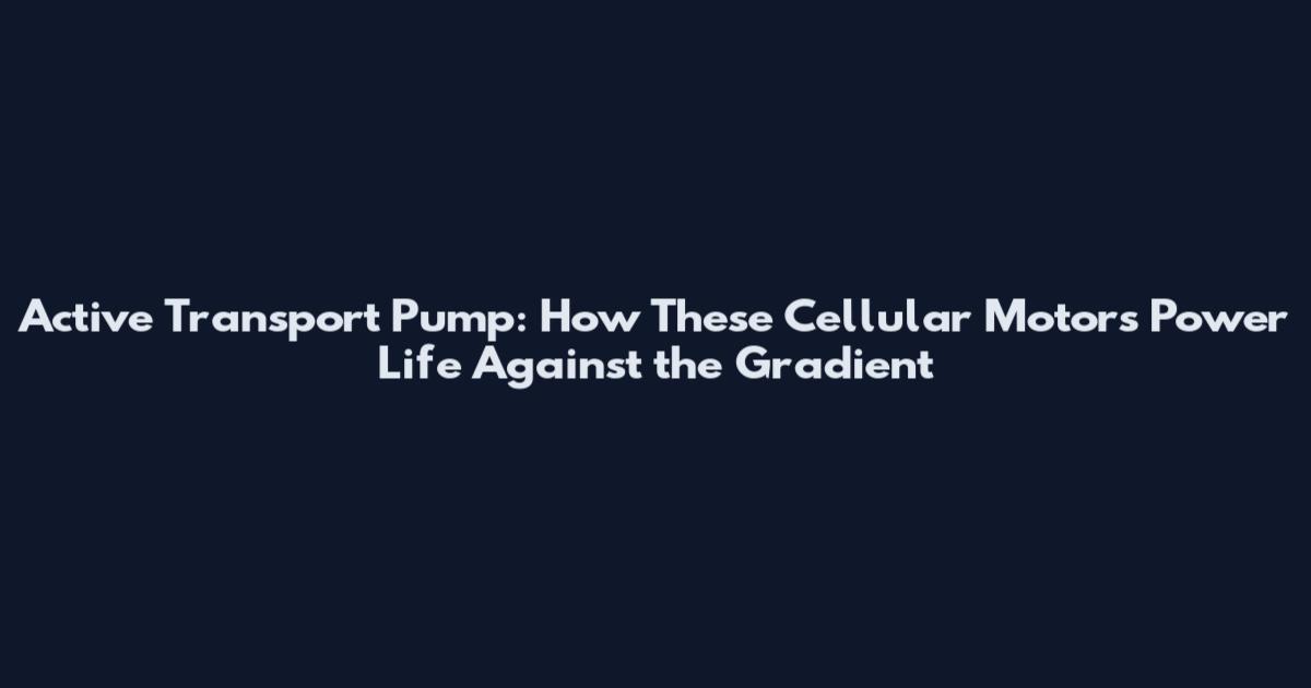 Active Transport Pump: How These Cellular Motors Power Life Against the Gradient